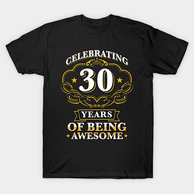 Celebrating 30 Years T-Shirt by Cooldruck